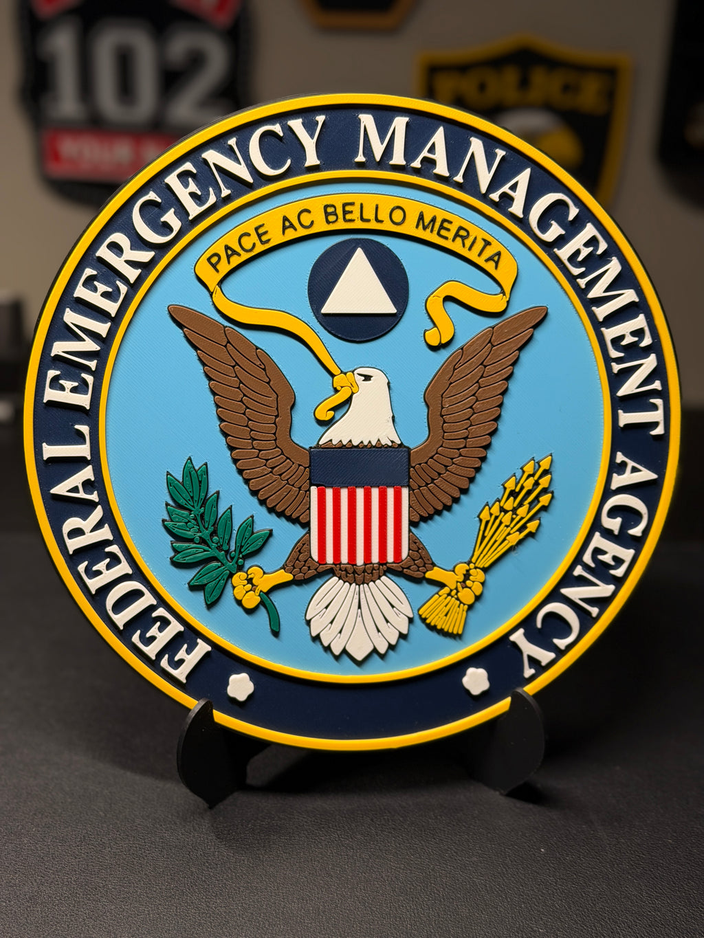 Federal Emergency Management Agency 3D Plaque | FEMA Seal Sign | Desk Display with Stand