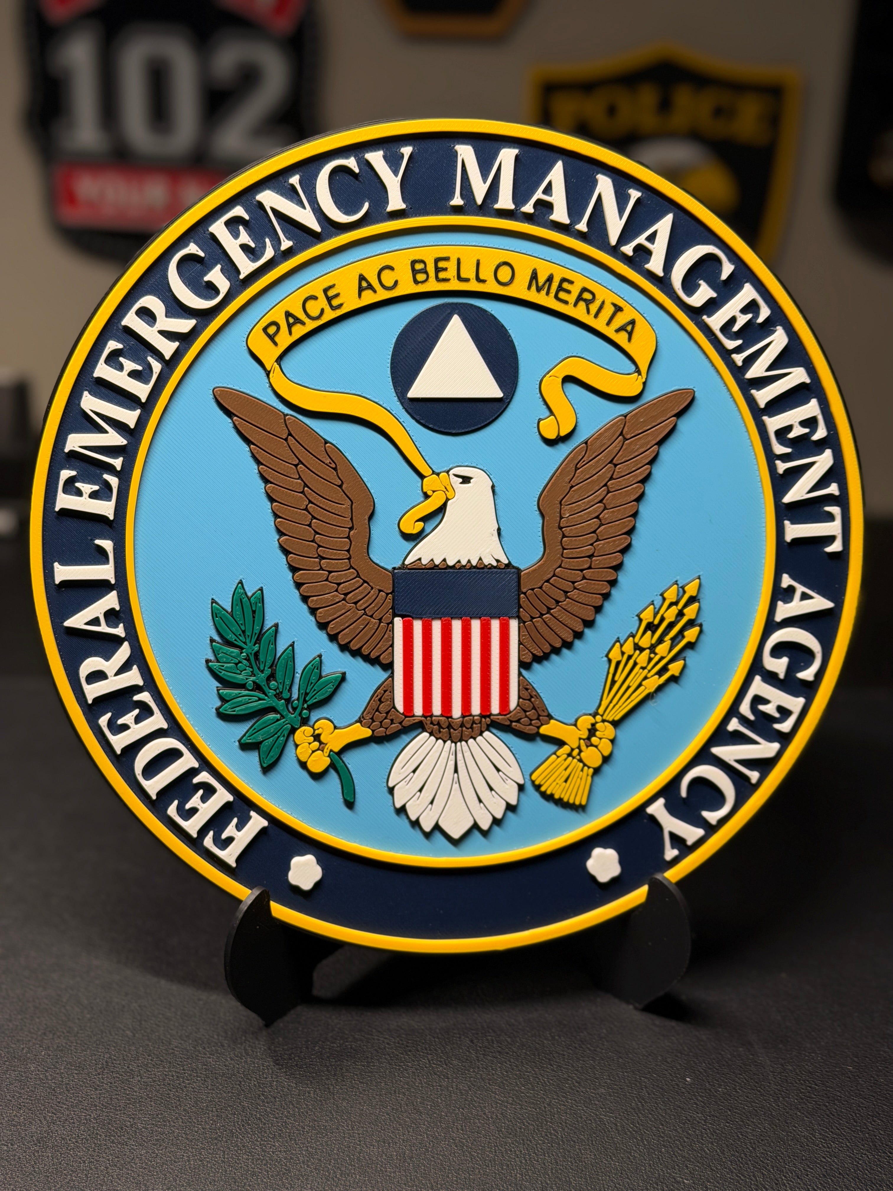 Federal Emergency Management Agency 3D Plaque | FEMA Seal Sign | Desk Display with Stand