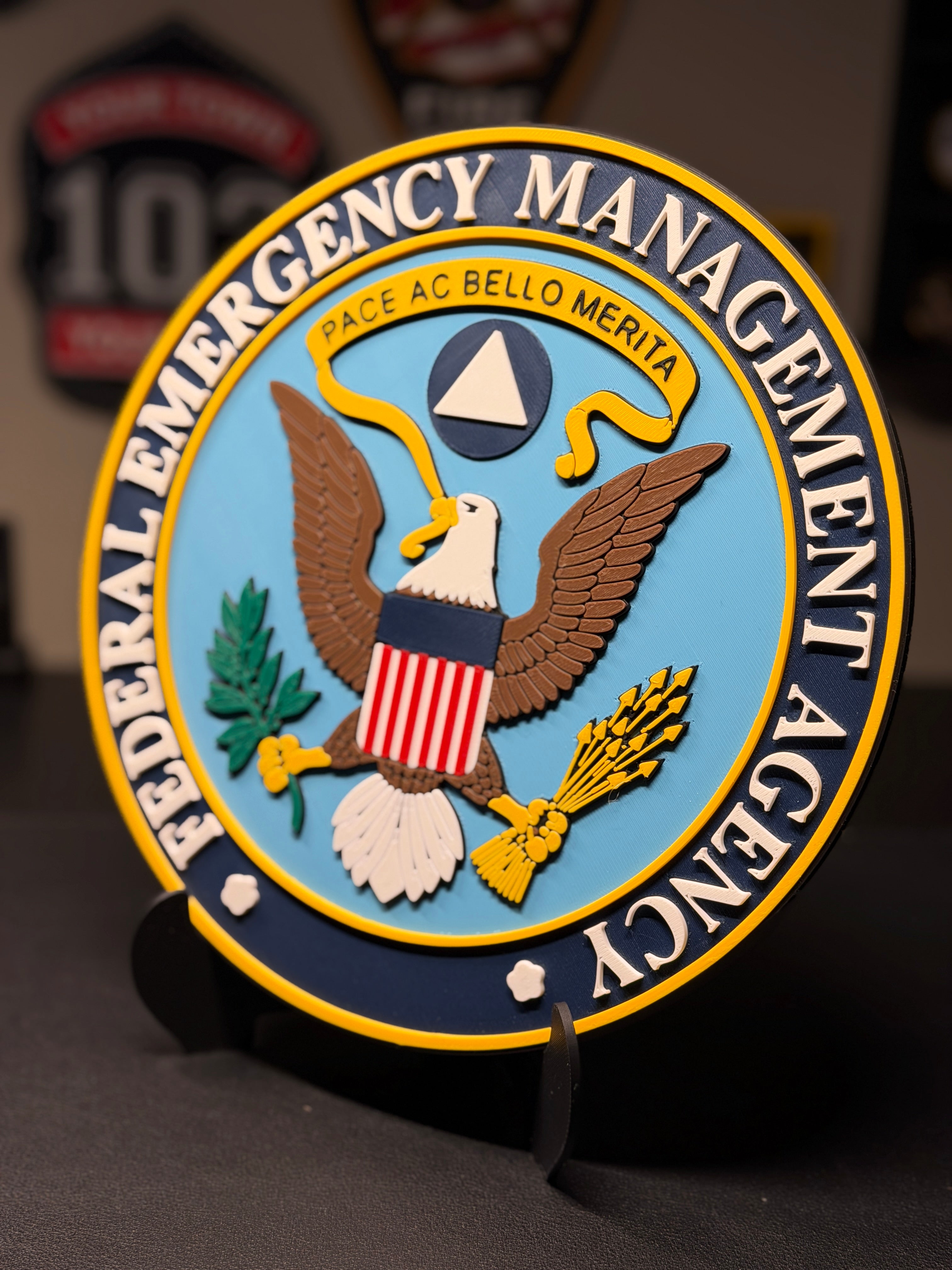 Federal Emergency Management Agency 3D Plaque | FEMA Seal Sign | Desk Display with Stand