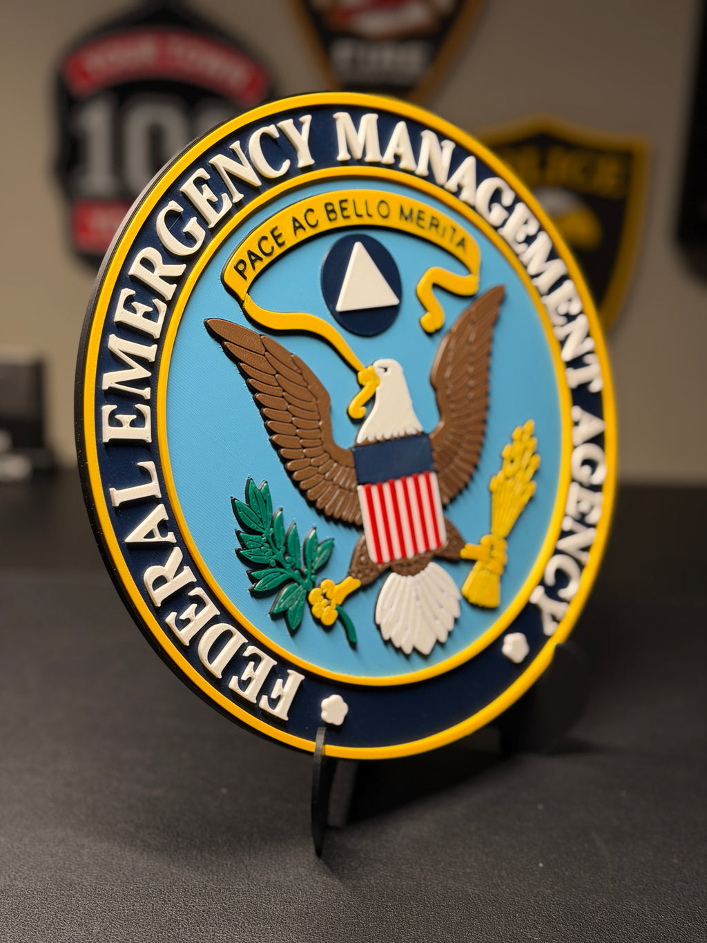 Federal Emergency Management Agency 3D Plaque | FEMA Seal Sign | Desk Display with Stand