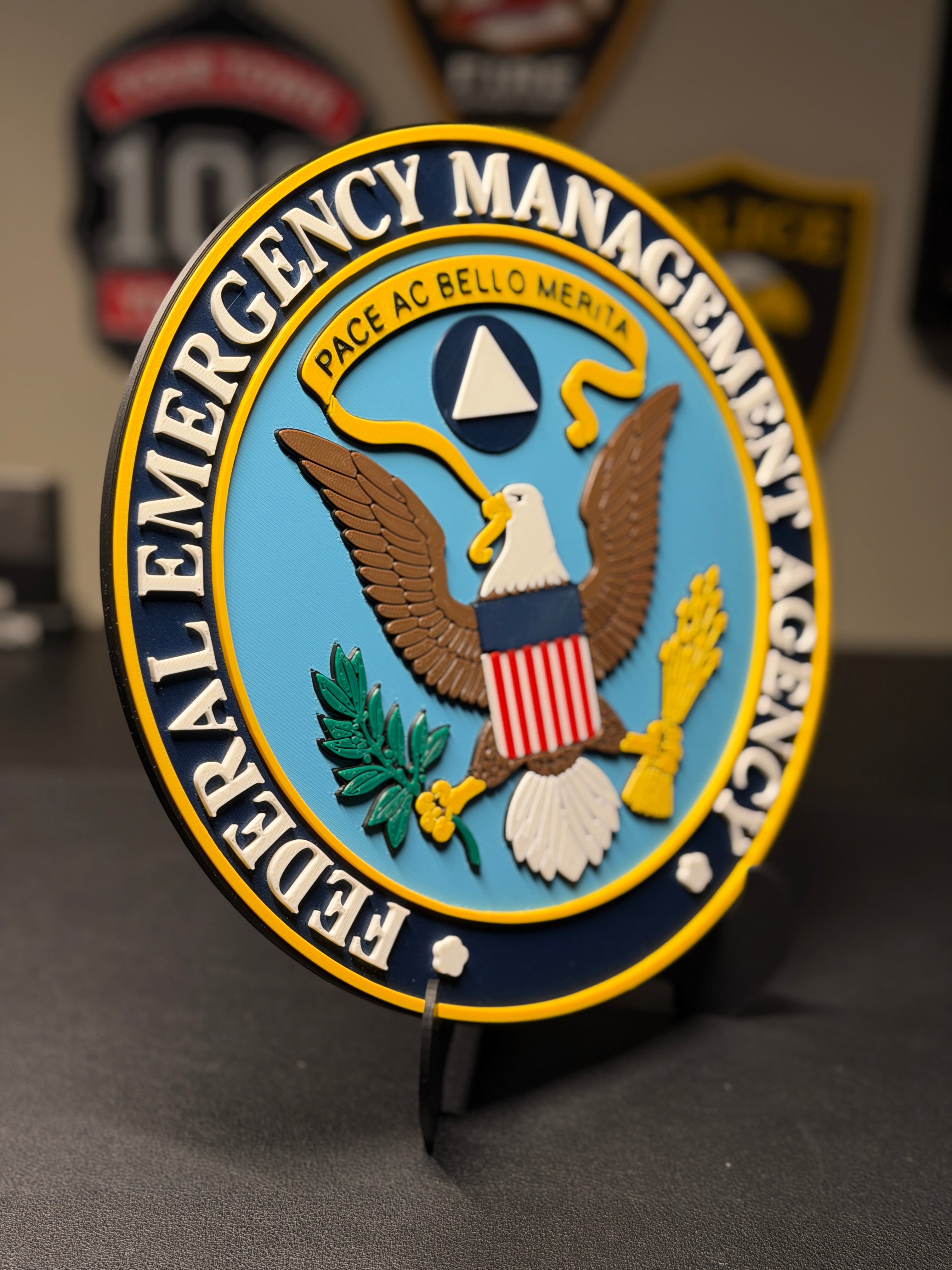 Federal Emergency Management Agency 3D Plaque | FEMA Seal Sign | Desk Display with Stand