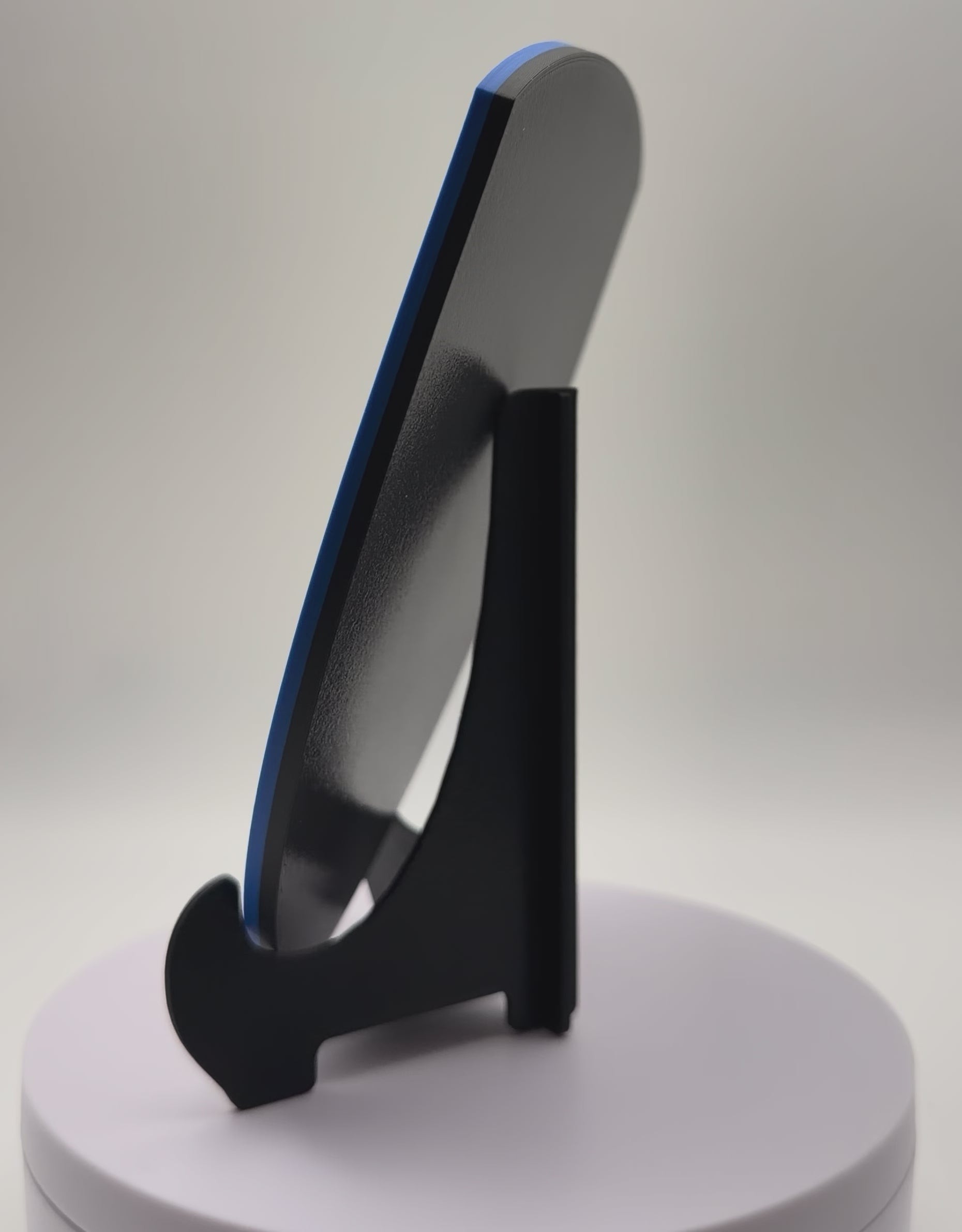 U.S. Customs 3D Printed Patch Plaque Display